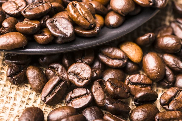 Coffee beans — Stock Photo, Image