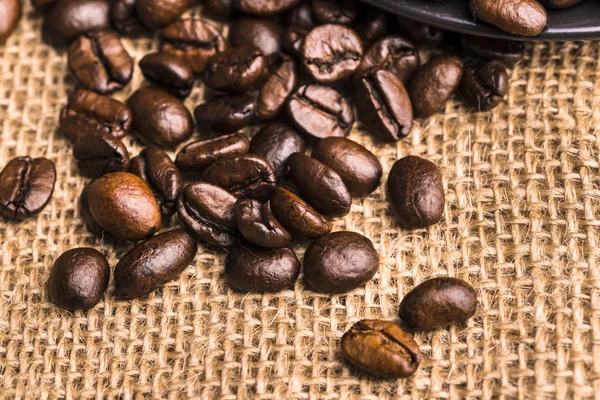 Coffee beans — Stock Photo, Image