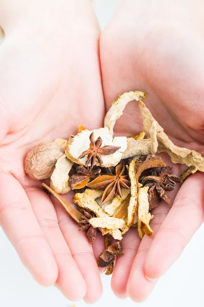 Holding Chinese traditional herbal. — Stock Photo, Image