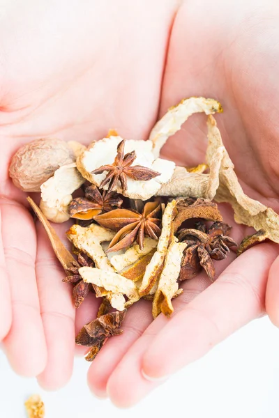 Holding Chinese traditional herbal. — Stock Photo, Image