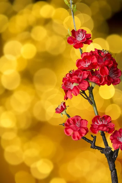 Decoración de año nuevo chino — Foto de Stock