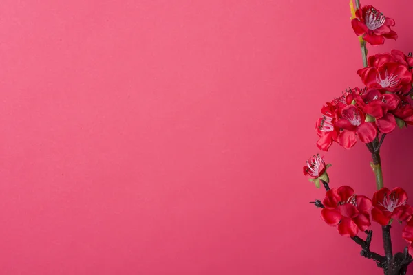 Decoración de año nuevo chino. — Foto de Stock