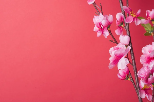 Decoración de año nuevo chino. — Foto de Stock