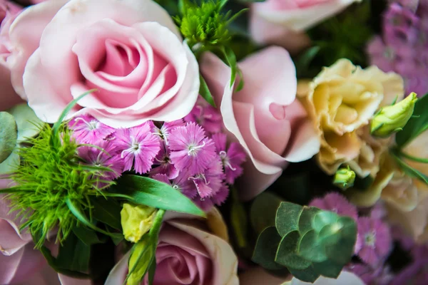 Hermosas flores — Foto de Stock