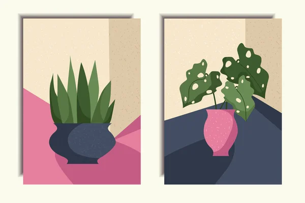 一套海报 盆中的植物 现代艺术 矢量说明 — 图库矢量图片