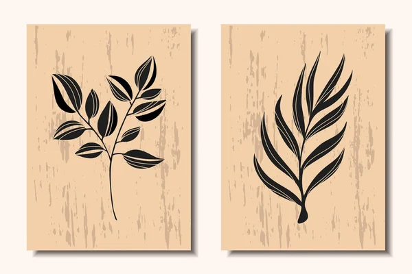 Collection Modern Posters Various Branches Plants Minimalism Vector Illustration — Stockový vektor