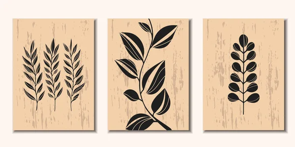 Verzameling Van Minimalistische Posters Met Planten Vectorillustratie — Stockvector