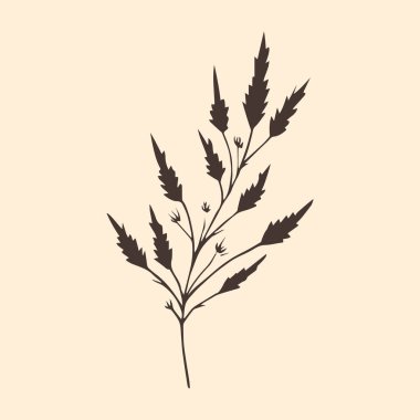 Minimalist bitki. Bej arkaplanda vektör illüstrasyonu.