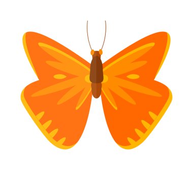 Renkli karikatür Lahana kelebek vektör beyaz arka plan izole.