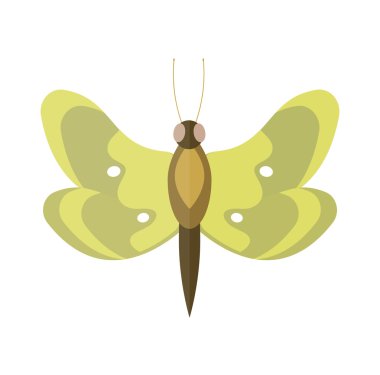 Beyaz arka planda izole renkli karikatür kelebek vektör.