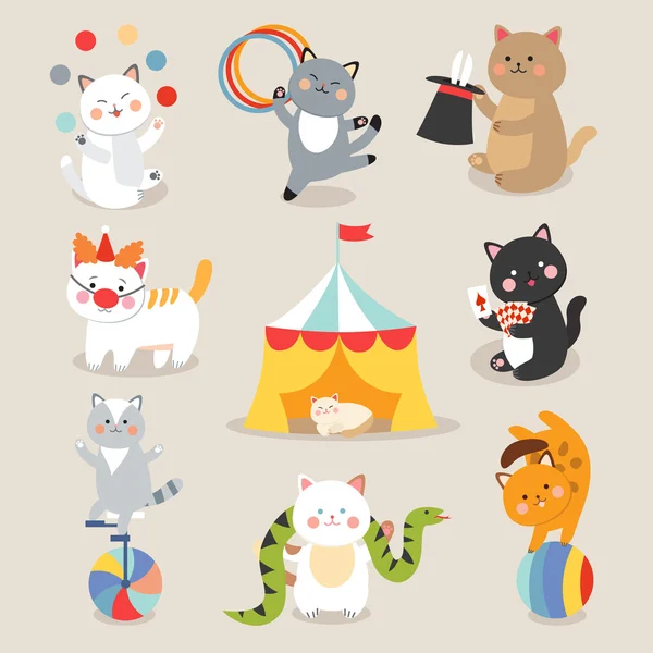 Uppsättning av glada cirkus spela katter vektor illustration. — Stock vektor