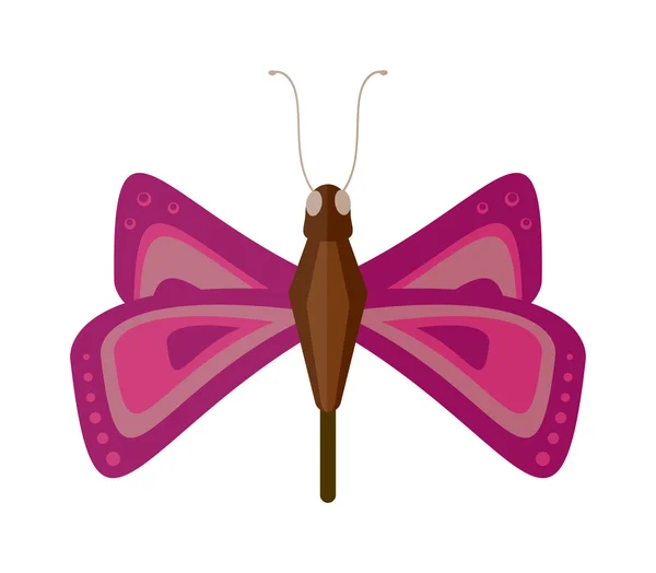 Mariposa aislada sobre fondo blanco vector ilustración . — Vector de stock