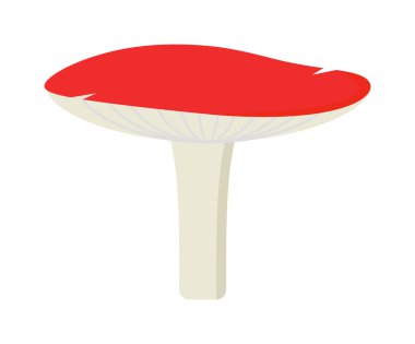 Amanita Zehirli mantar, beyaz arka plan üzerinde izole vektör