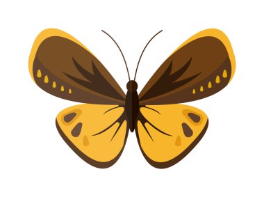 Beyaz arka planda izole renkli karikatür kelebek vektör.