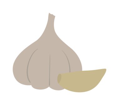 Beyaz arkaplanda taze sarımsak var..