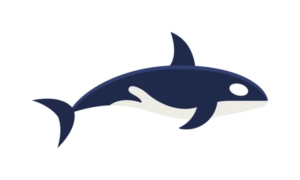 Killer Whale Orcinus orca vector geïsoleerd op witte achtergrond — Stockvector