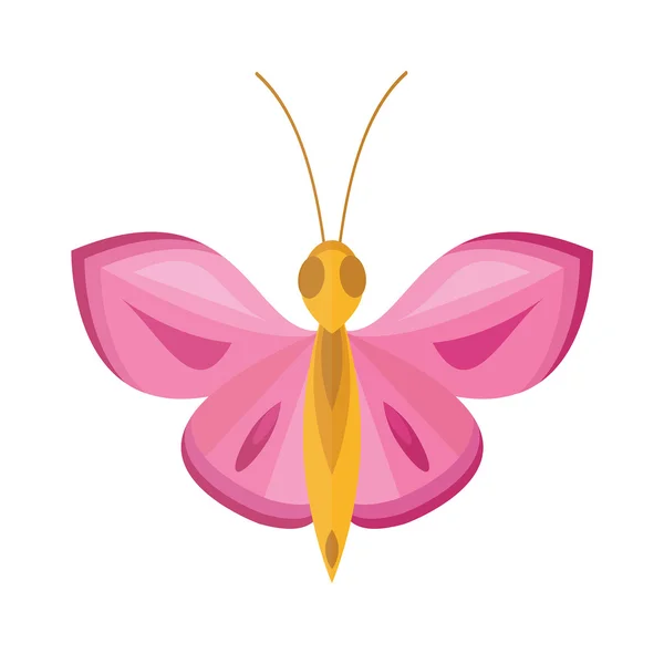 Colorido Rosa desenho animado borboleta vetor isolado no fundo branco . — Vetor de Stock