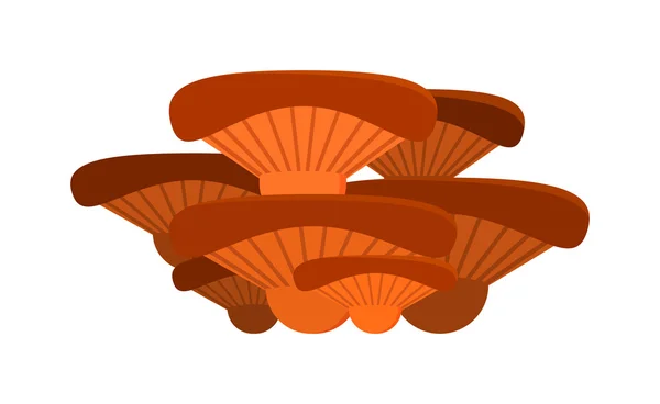 Mushrooms Illustration on white background — Διανυσματικό Αρχείο