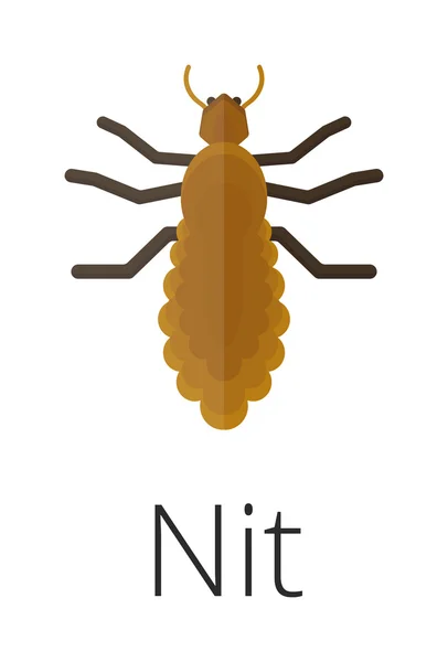 Nit skin parasite insect bug . — Stock Vector