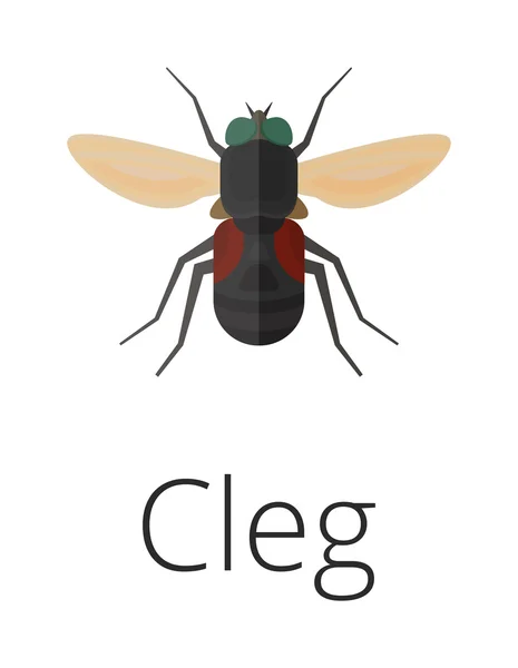 Cleg skin parasite insect bug . — Stock Vector