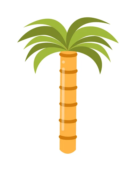 Palmera vector, árbol de verano playa tropical ilustración . — Archivo Imágenes Vectoriales