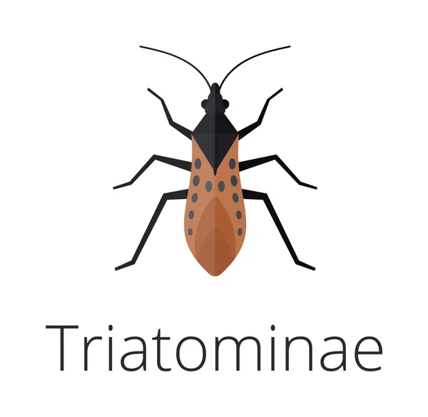 Triatominae bőr parazita rovar bug . — Stock Vector