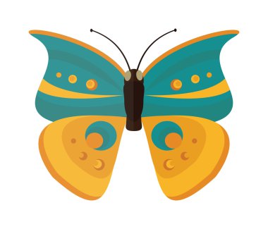 Beyaz arka planda izole renkli karikatür kelebek vektör.