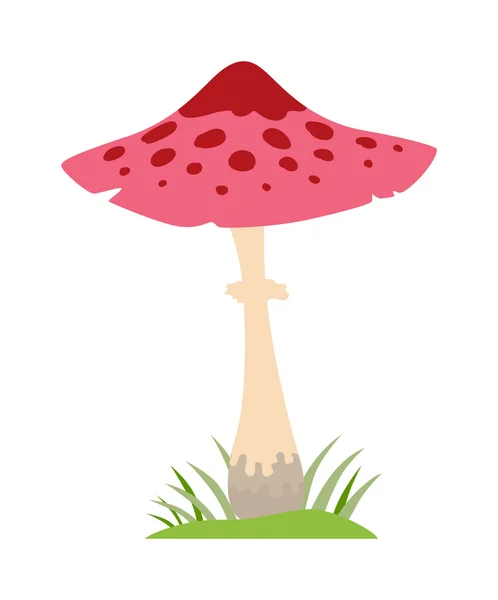 Seta venenosa Amanita, vector aislado sobre fondo blanco . — Archivo Imágenes Vectoriales