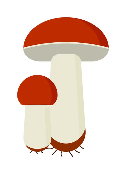 Mushrooms vector cartoon Illustration on white background — Stock Vector