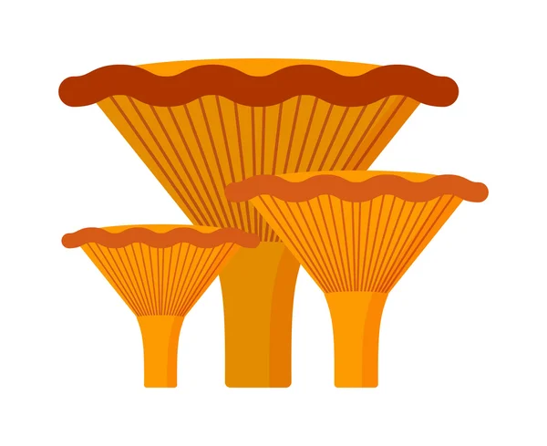 Cogumelos vector cartoon Ilustração sobre fundo branco —  Vetores de Stock