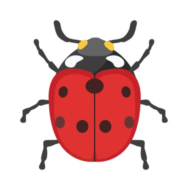 Cute cartoon ladybug vector insect isolated on white background.