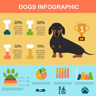 Dachshund köpek oyun infografik vektör sunum sembolleri seti.