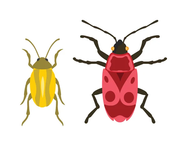 Escarabajo insecto plano en el vector de estilo de dibujos animados — Archivo Imágenes Vectoriales