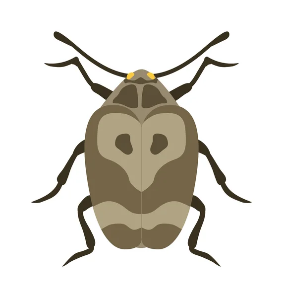 Kever plat insect bug in cartoon stijl vector — Stockvector