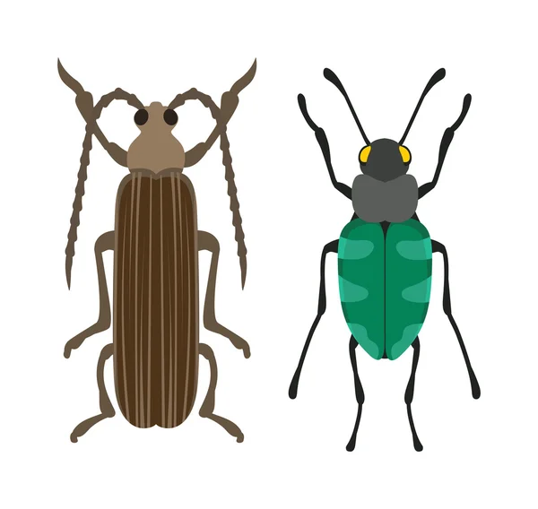 Beetle flat insect bug in cartoon style vector — Stock Vector