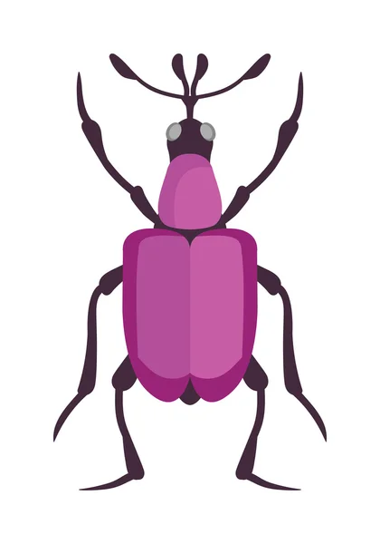 Σκαθάρι επίπεδη έντομο έντομο σε διάνυσμα στυλ κινουμένων σχεδίων — Διανυσματικό Αρχείο