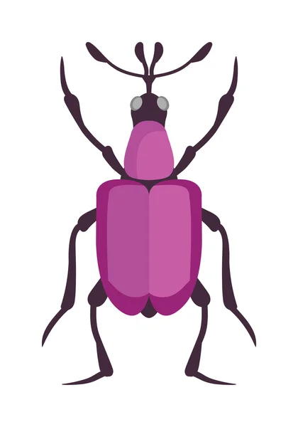 Beetle flat insect bug in cartoon style vector — Stock Vector