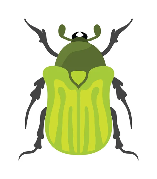 Beetle flat insect bug in cartoon style vector — Stock Vector