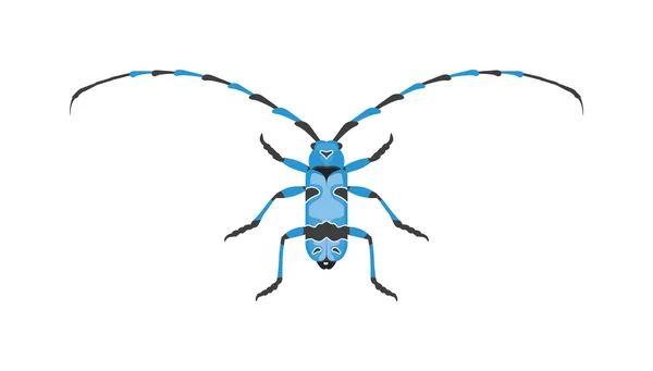 Beetle Flat insekt bugg i tecknad stil vektor — Stock vektor