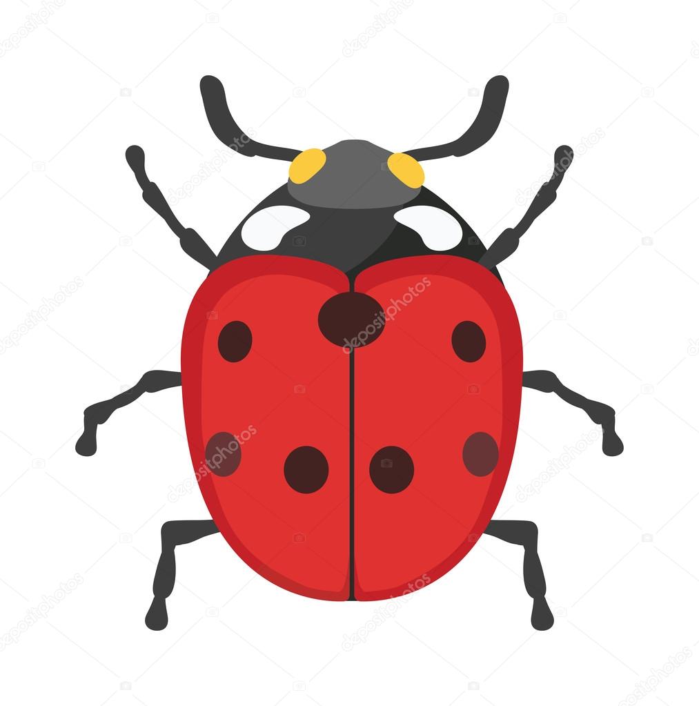 Cute cartoon ladybug vector insect isolated on white background.