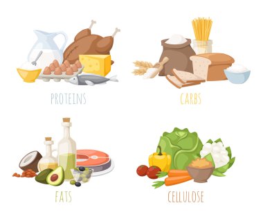 Dengeli sağlıklı beslenme, protein yağ karbonhidrat diyet, yemek, mutfak ve gıda kavramı vektör.
