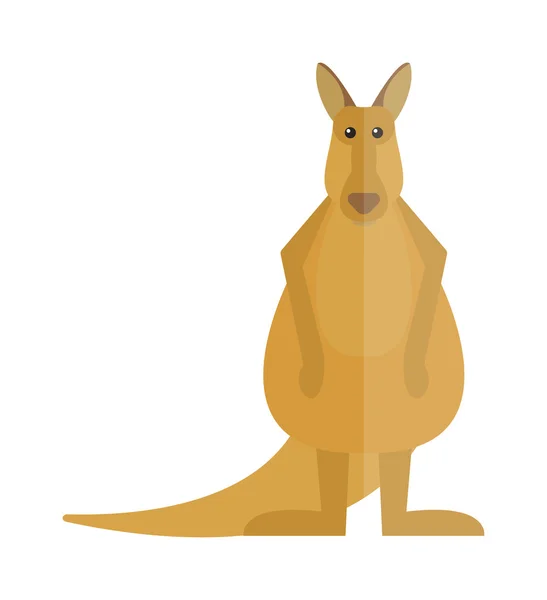 Roztomilý klokan kreslený australský živočišný vektorový obrázek. — Stockový vektor