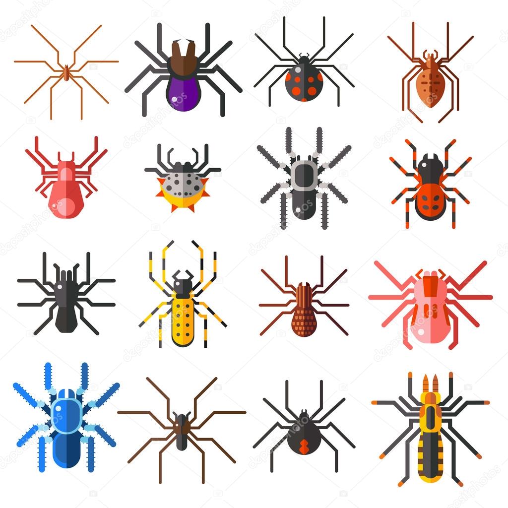 Set of flat spiders cartoon colored icons vector illustration isolated on white background.