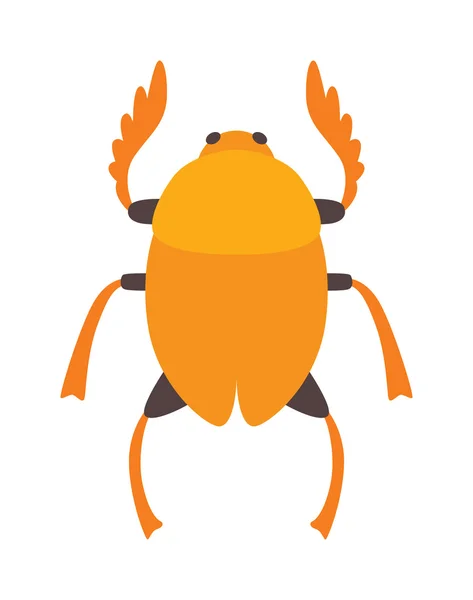 Egypt scarab beetle vector illustration — Stock Vector