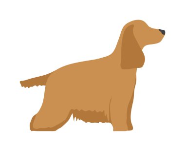 Düz köpek evcil hayvan ve sevimli vektör oturan