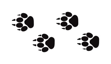 Animal foot prints and tracks isolated steps traces on white for wildlife concept design vector. clipart