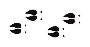 Hayvan ayak baskılar ve yaban hayatı kavramı tasarım vektör için beyaz izole adımlar izleri izler.