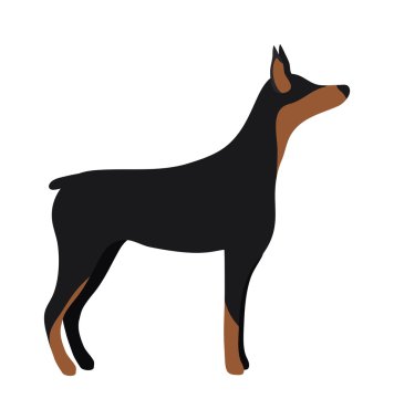 Kızgın düz köpek evcil hayvan ve köpek vektör.