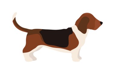 Düz köpek evcil hayvan ve sevimli vektör oturan