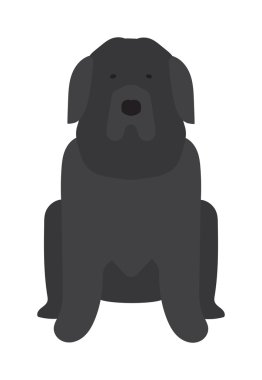 Siyah Labrador retriever köpek evcil hayvan vektör illüstrasyon.